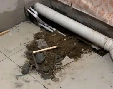 姜堰卫生间漏水检测哪家好