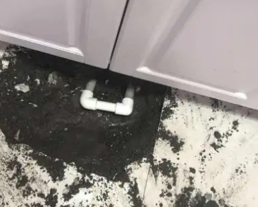 姜堰查漏水哪家好